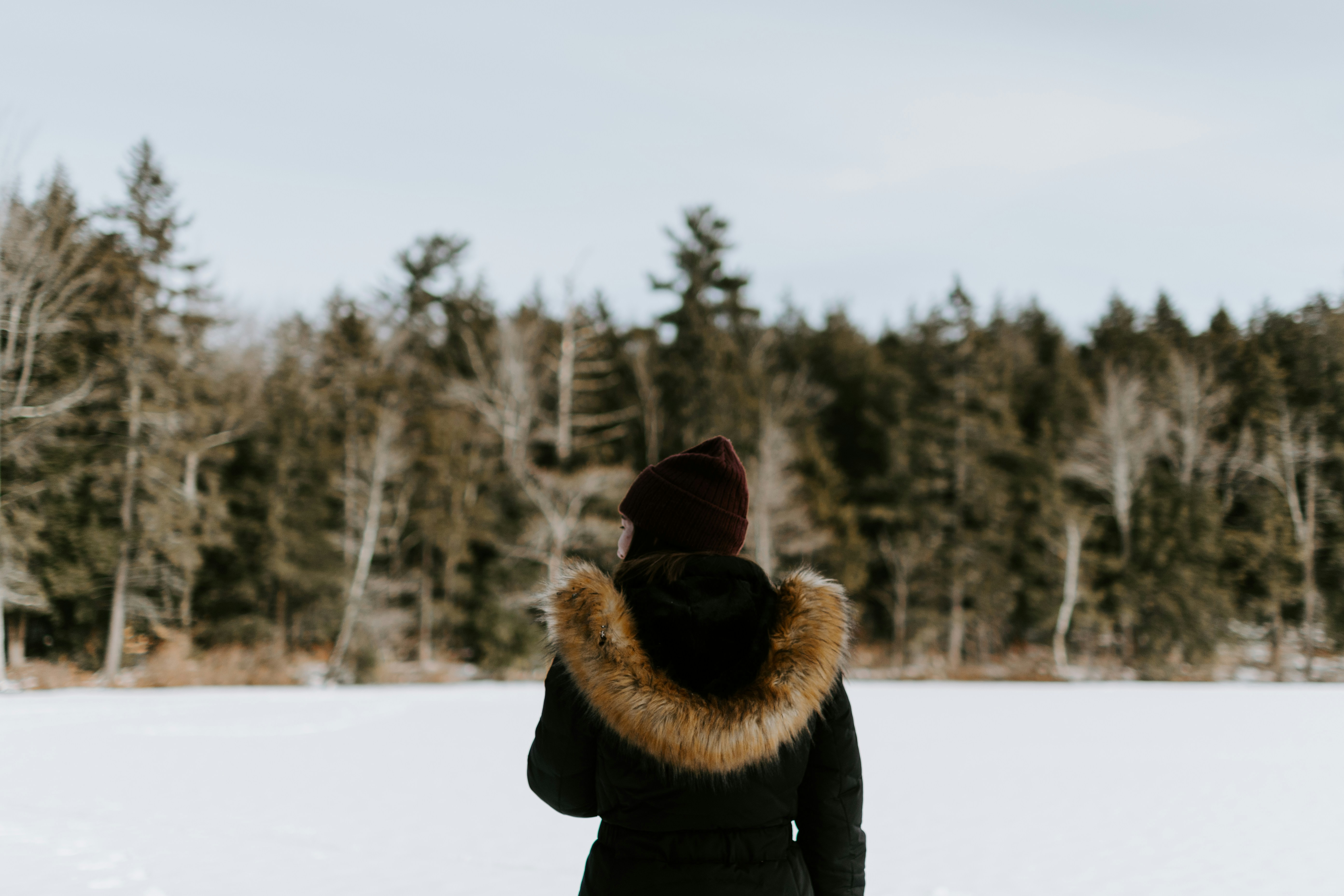 Photo by kellysikkema