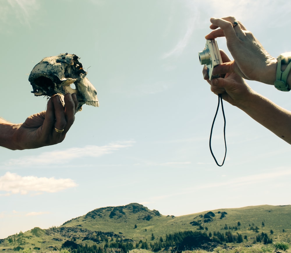 person taking photo of animal skull