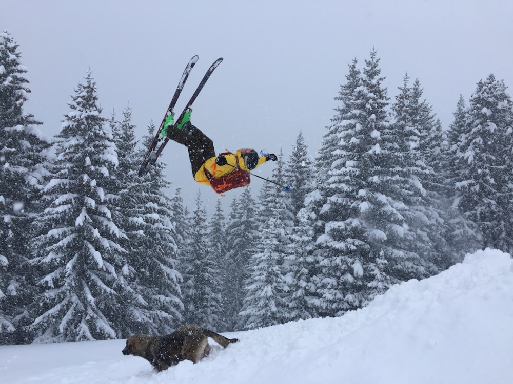 Uomo rampante sulle lame degli sci sul campo di neve