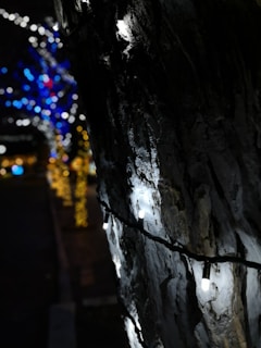 A close-up of a tree wrapped in warm white LED lights.