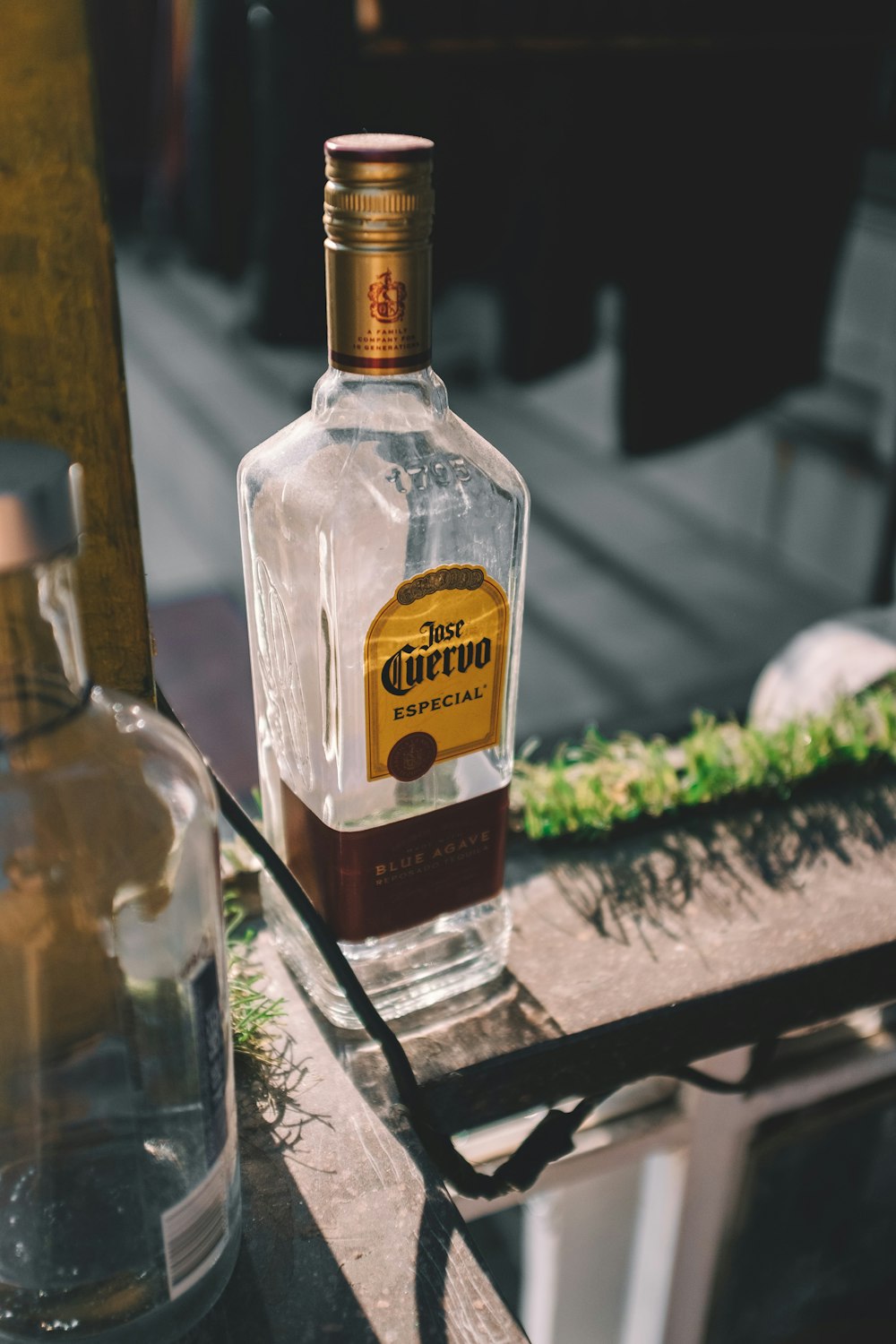 Jose Cuervo empty bottle