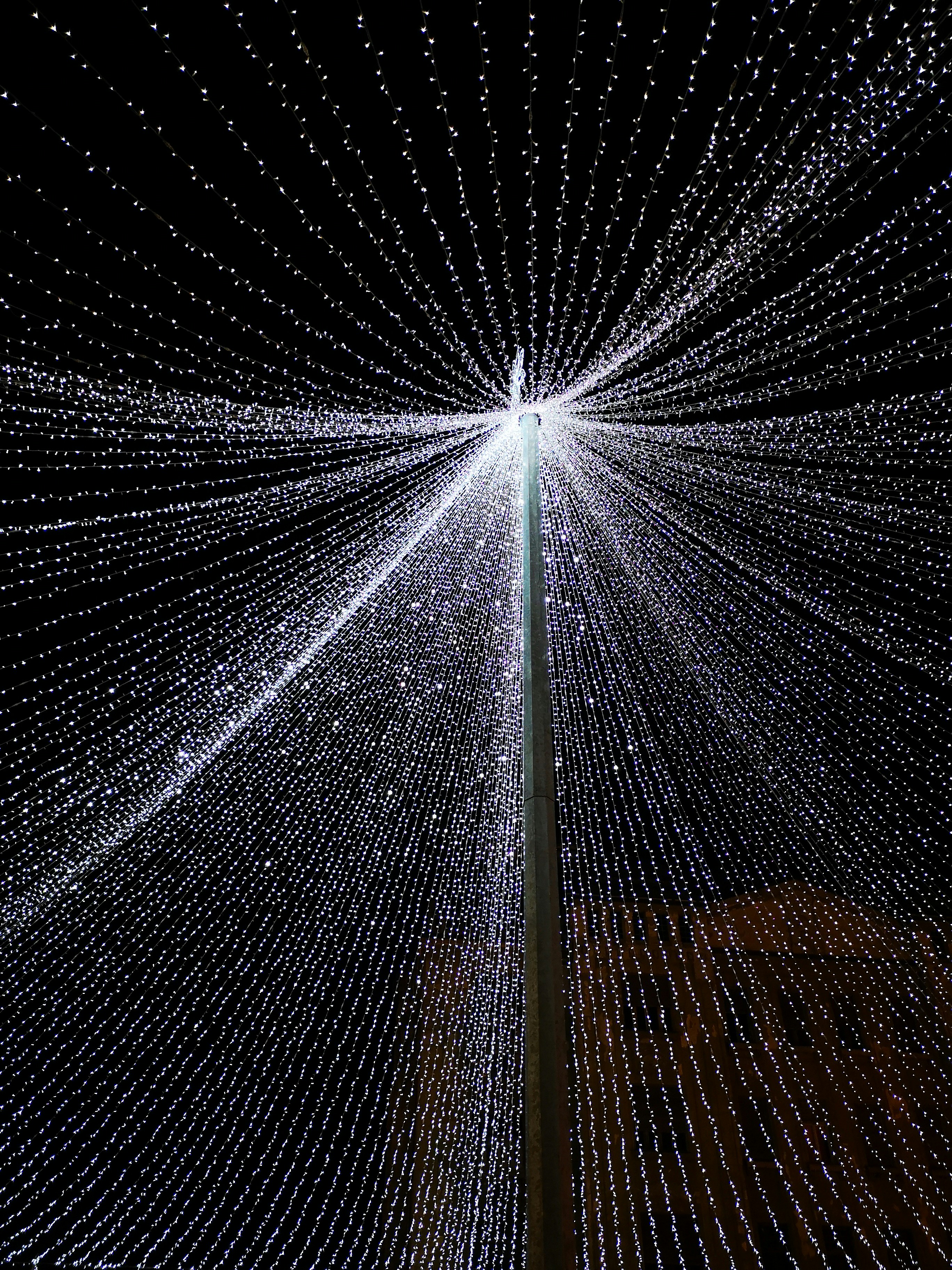 low-angle photography of white string lights