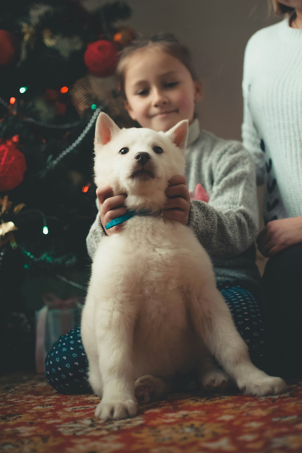 girl holding dog