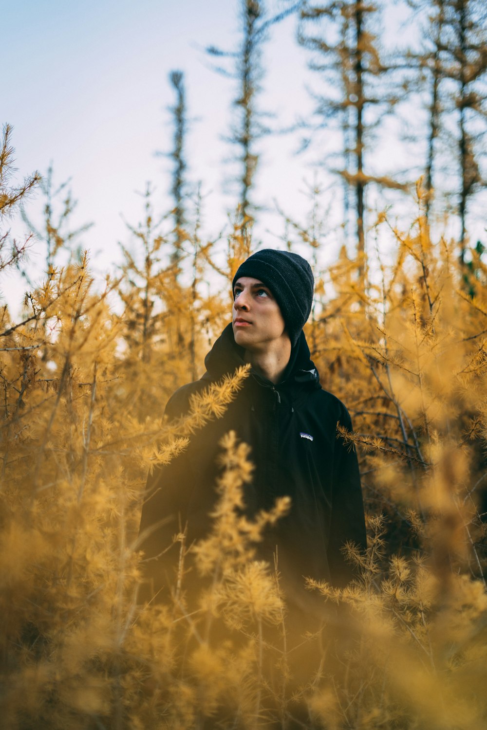 man standing in the middle of trees