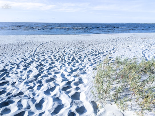A tranquil beach scene with a vast expanse of white sand leading to a calm, blue ocean. Footprints are visible in the sand, indicating recent activity. On the right side, green dune grasses sway gently in the breeze under a clear sky.