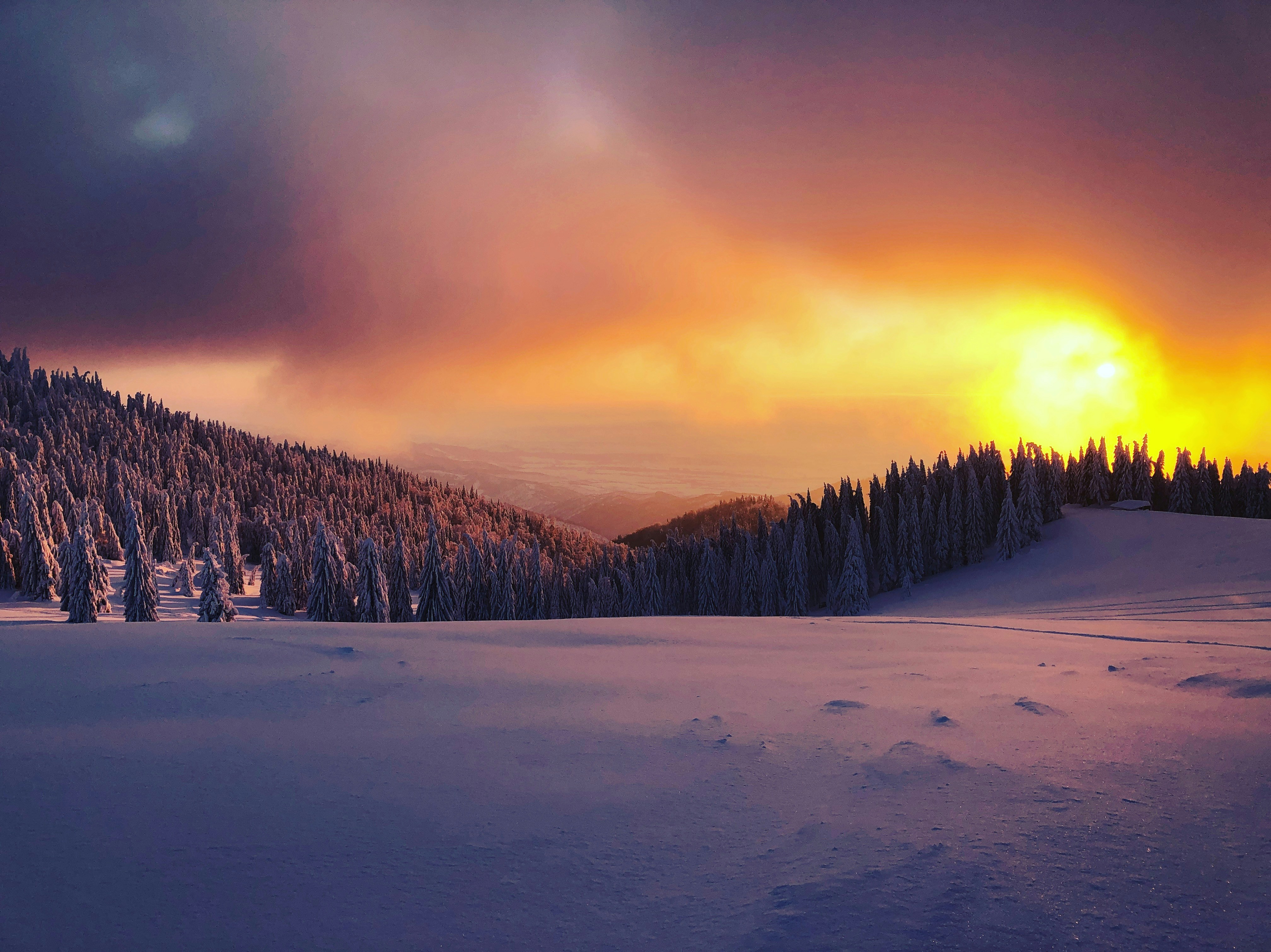 Photo by alexandrugeorgetudur