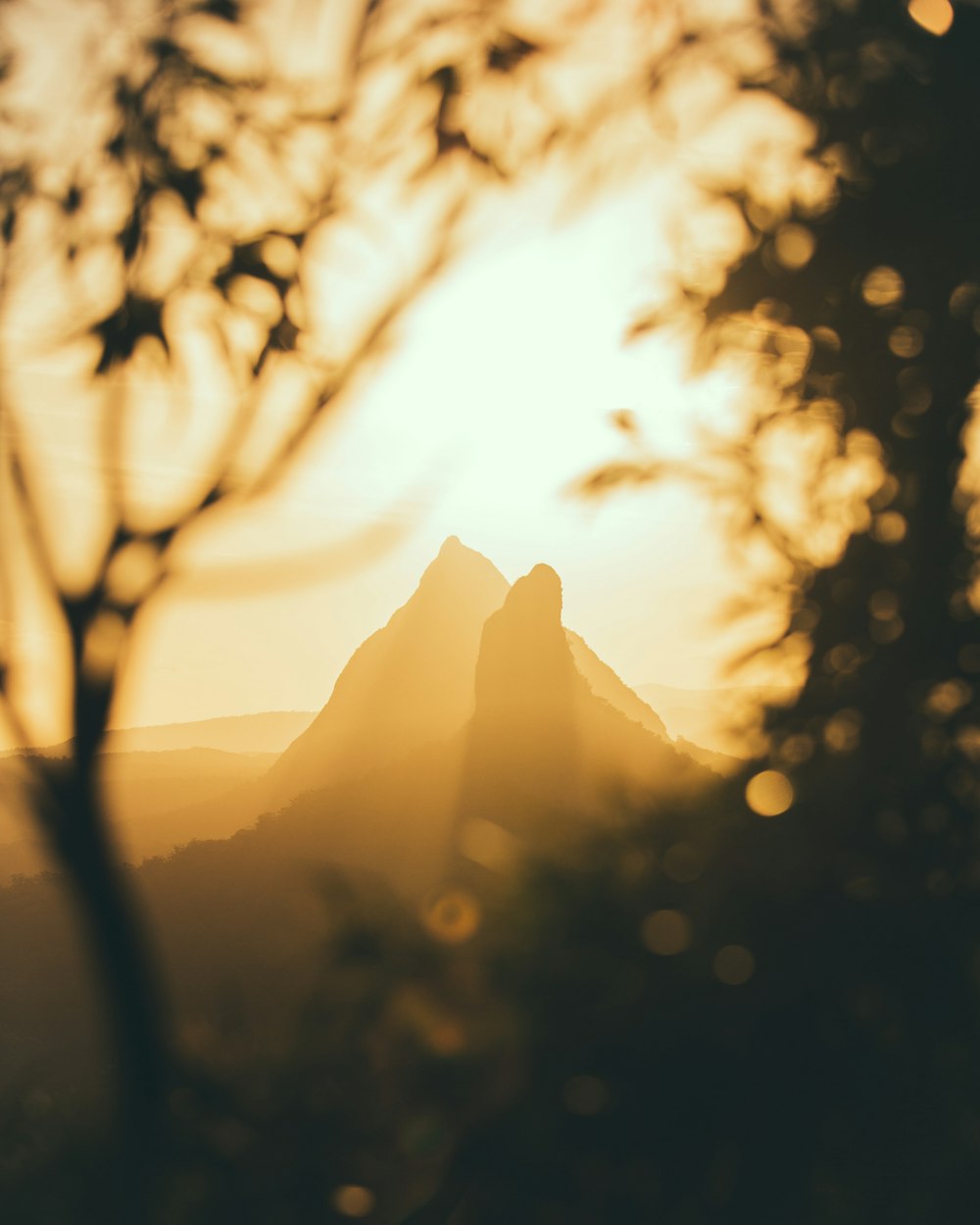 mountains under golden hour