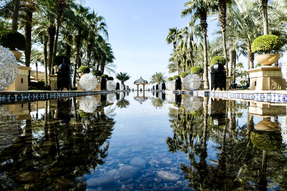 calm body of water in between palm trees at daytime