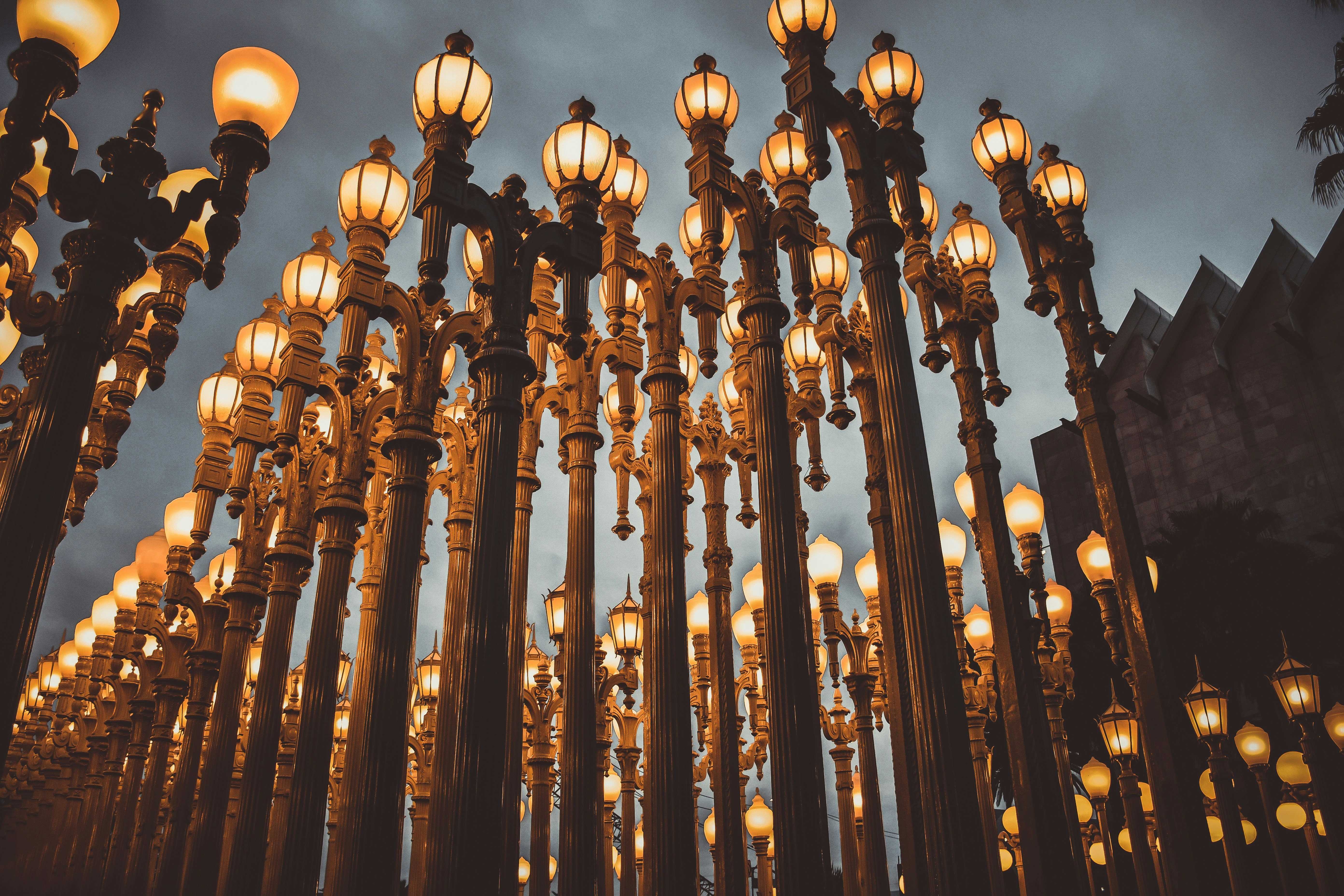 Photo by guss_bedolla