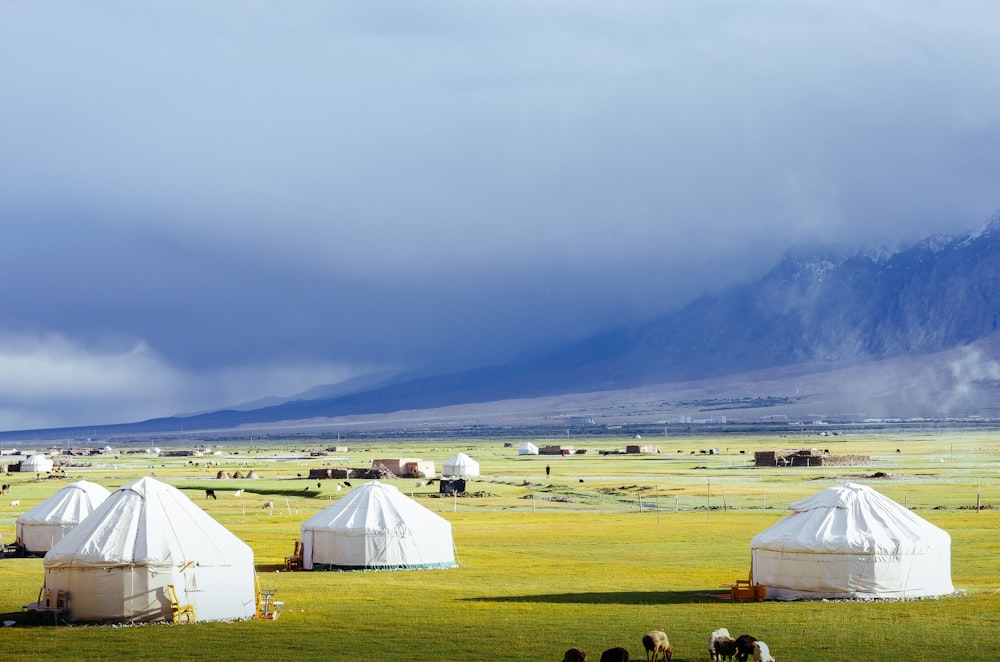 white dome tent lot