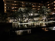 Nighttime shot of the data center glowing warmly with reflections on nearby water, framed by tall pine trees.