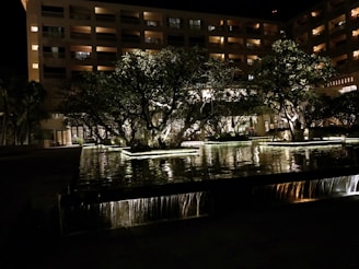 Nighttime shot of the data center glowing warmly with reflections on nearby water, framed by tall pine trees.