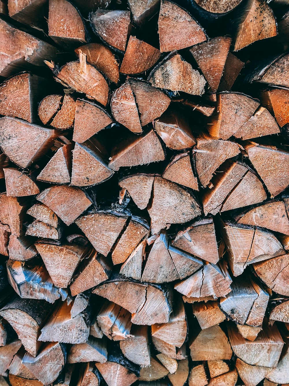 close-up photo of brown firewood