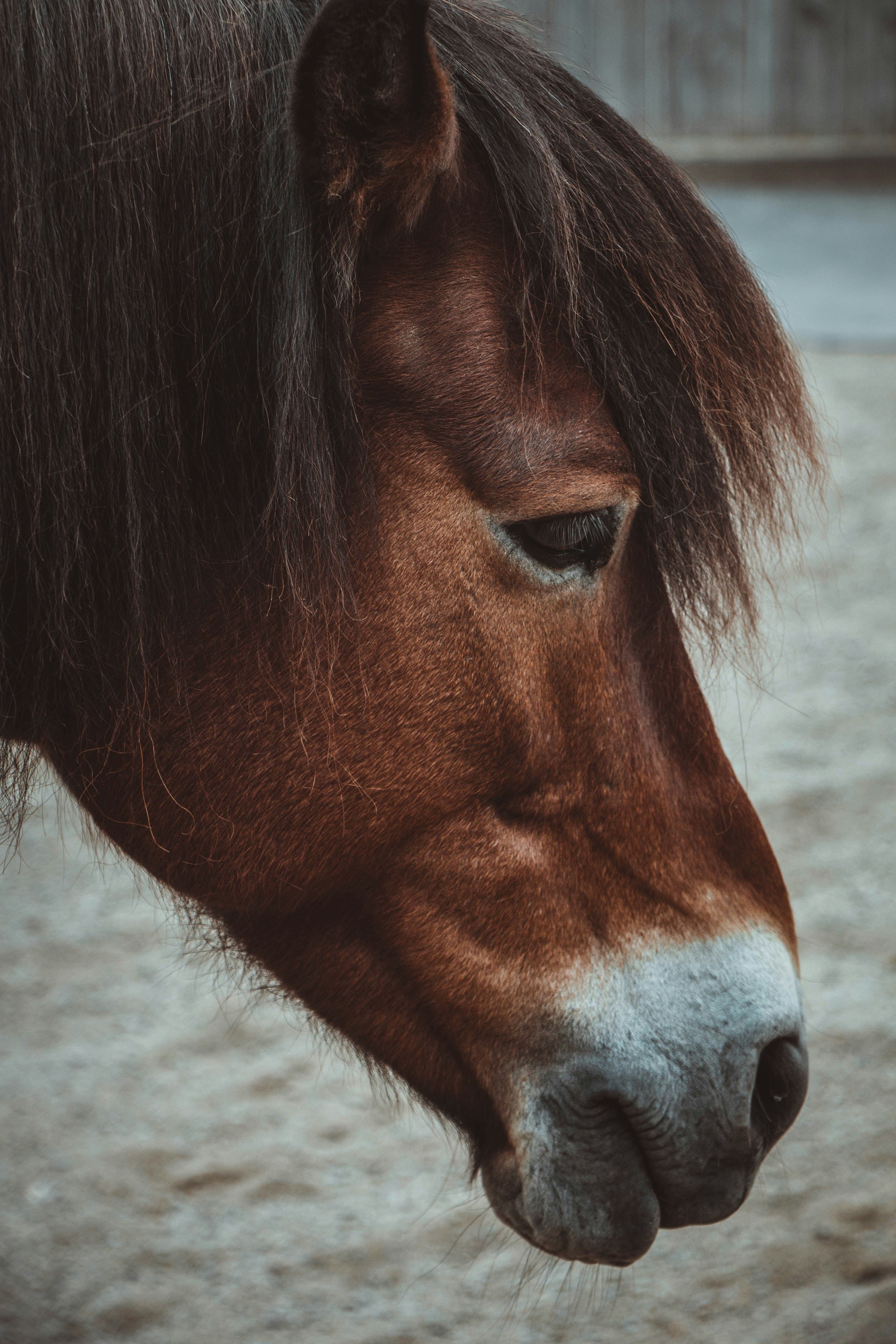 Photo by jyrkisorjonen