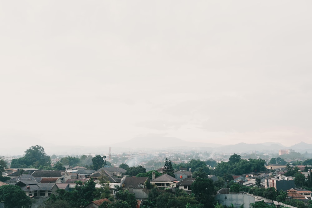 aerial photography of houses