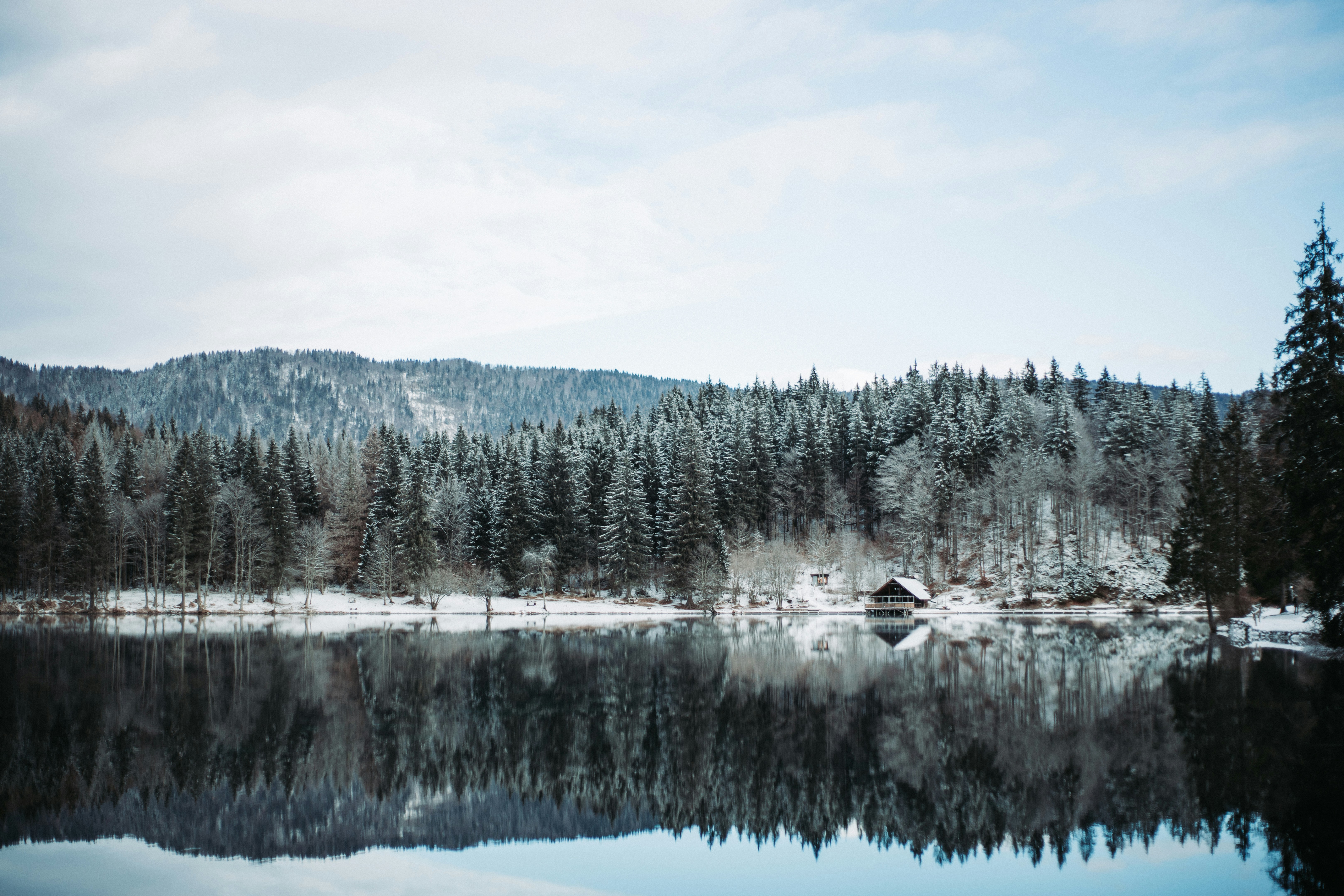 Photo by danielebuso