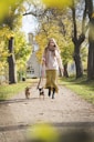 woman walking with two dogs