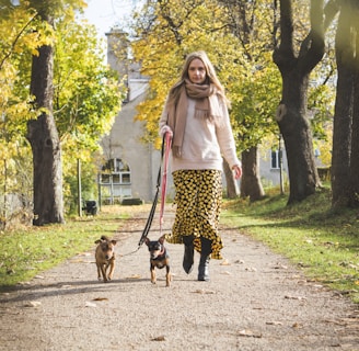 woman walking with two dogs