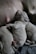Three newborn puppies are nestled closely together, with one nursing from their mother. Their fur is soft and light-colored, and they appear to be sleeping or resting peacefully. The scene is intimate and tender, suggesting a moment of care and nurturing between the mother and her young.