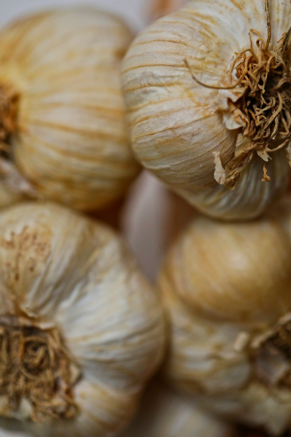 white garlic lot