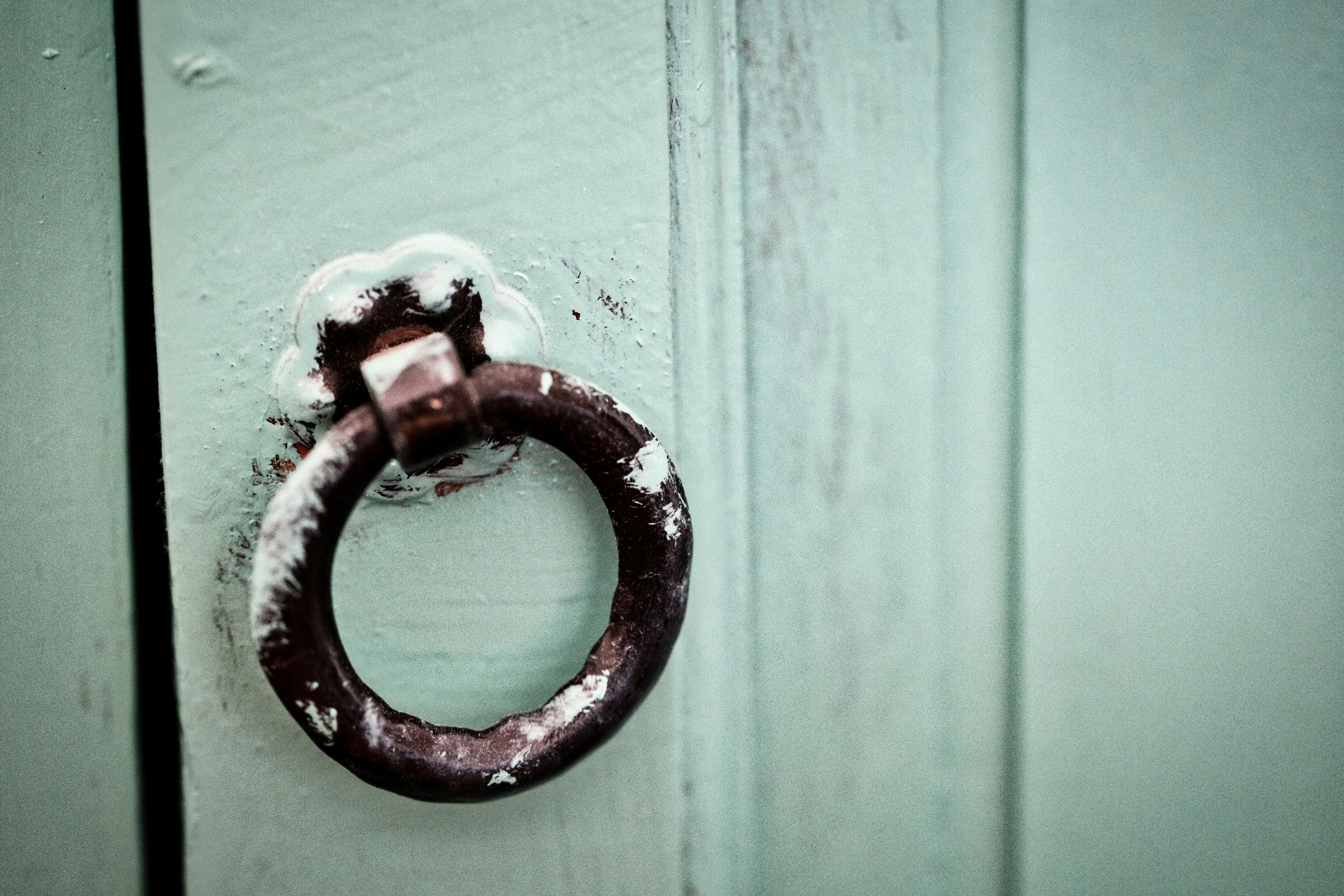 Photo by lucavolpe