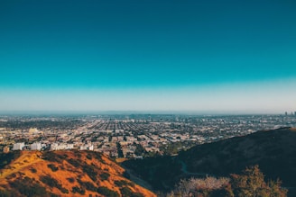 landscape photo of cityscape