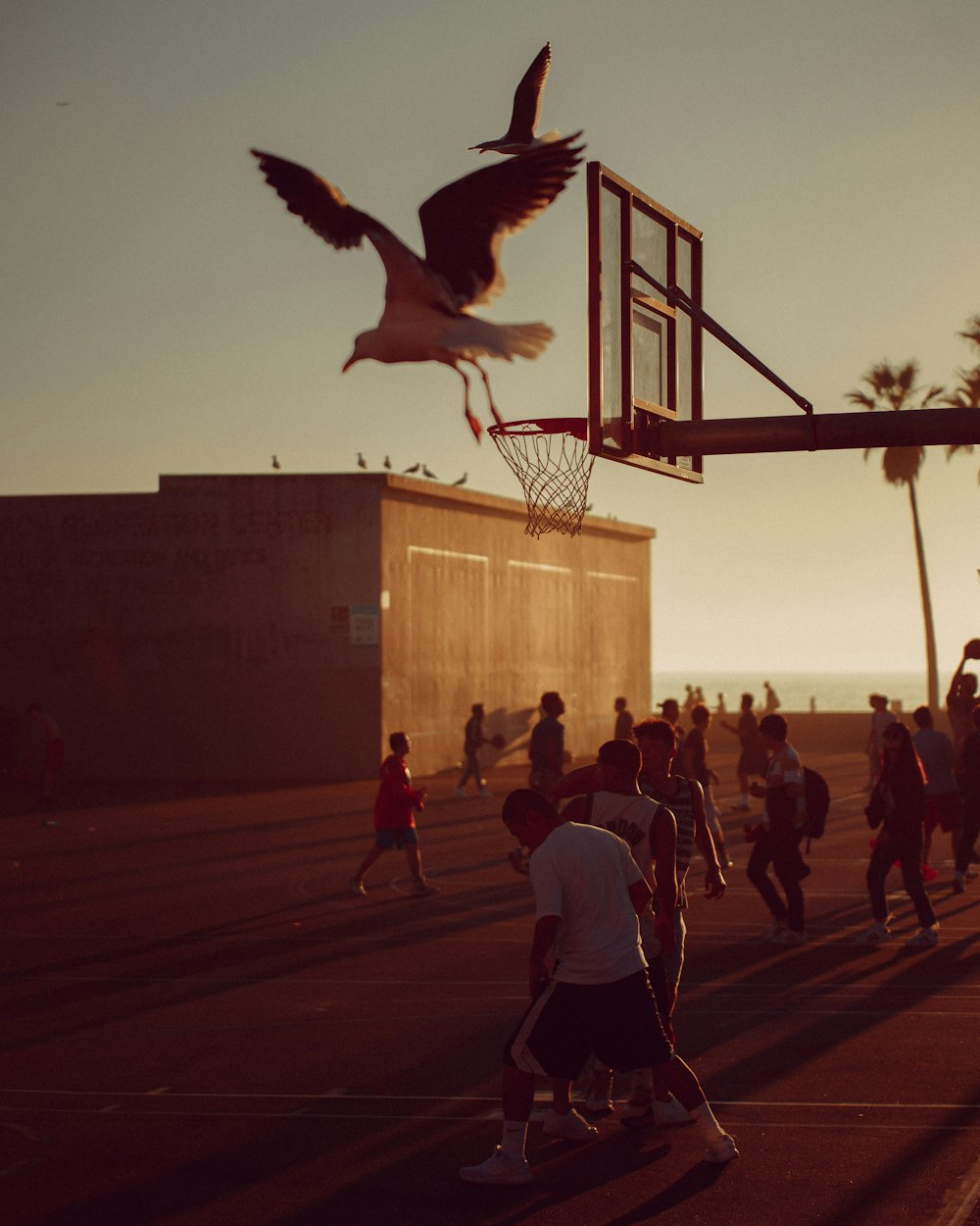 people playing basketball during golden hour