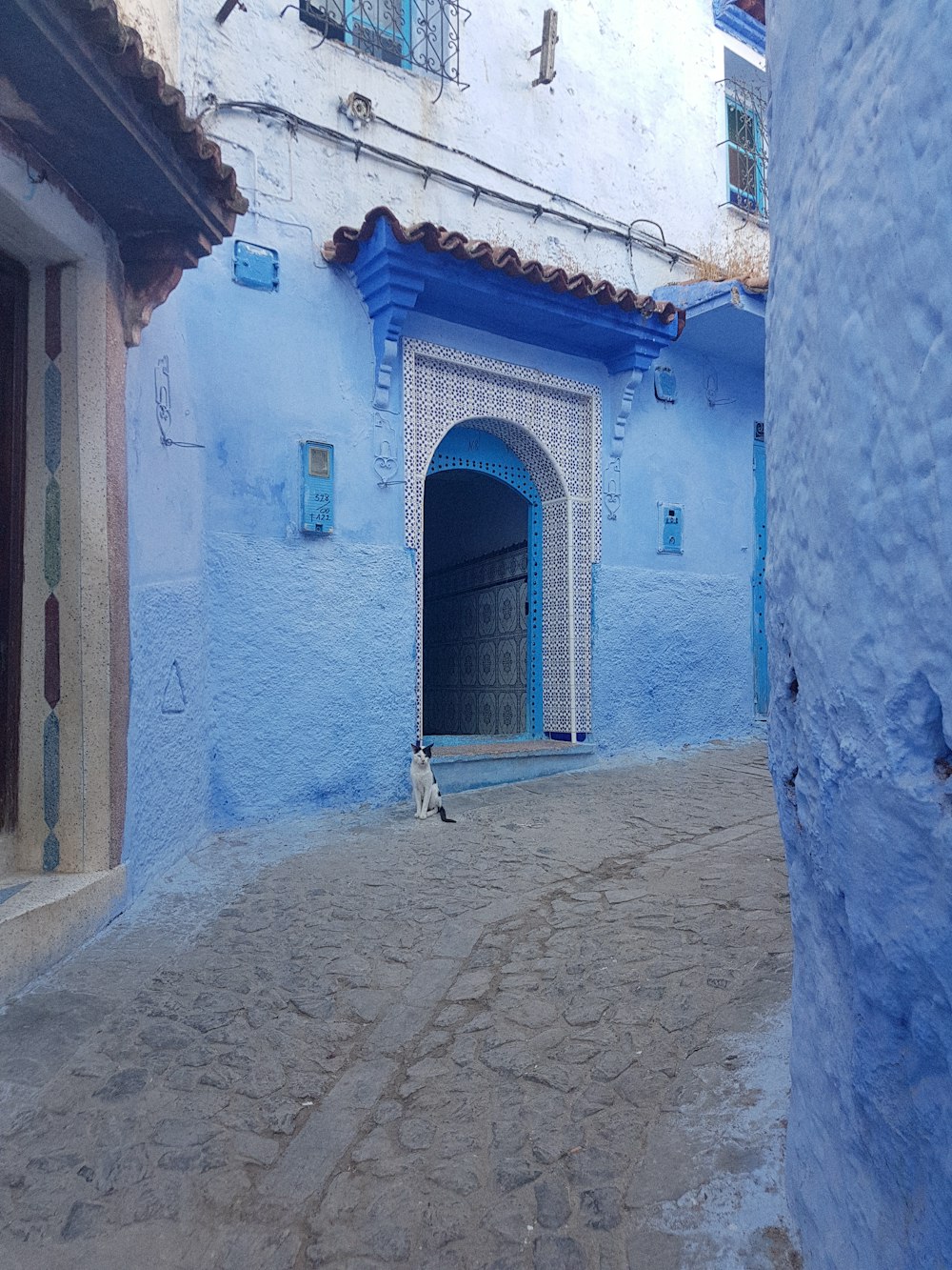 Gato branco e preto sentado perto do edifício de concreto branco