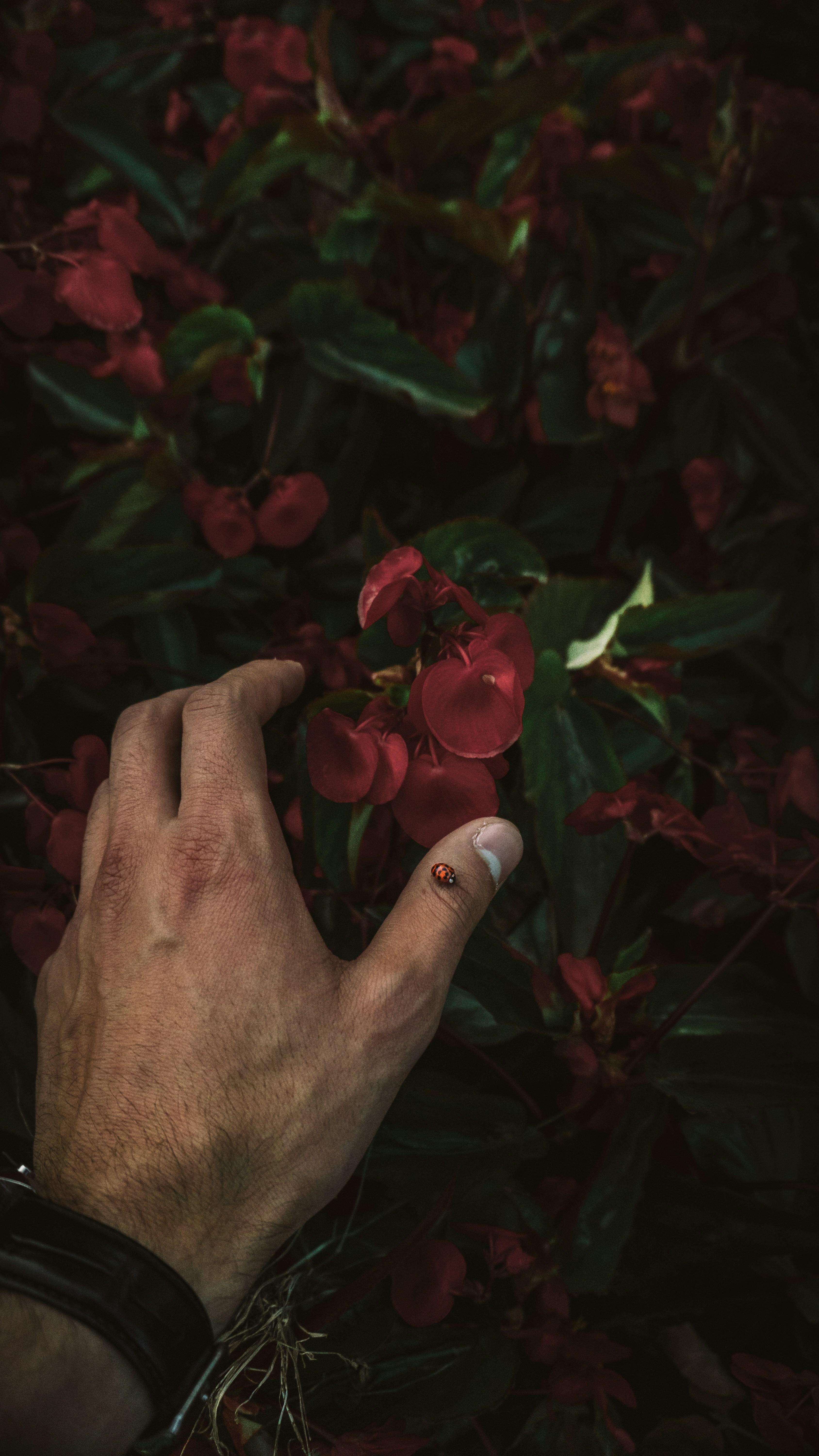 苹果睡眠耳机，揭秘排行榜第一名的卓越性能与独特体验,睡眠耳机 评测