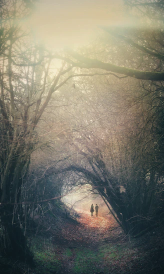 two person walking in between trees