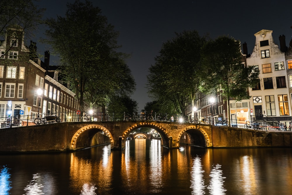 brown bridge on body of water at nighttime