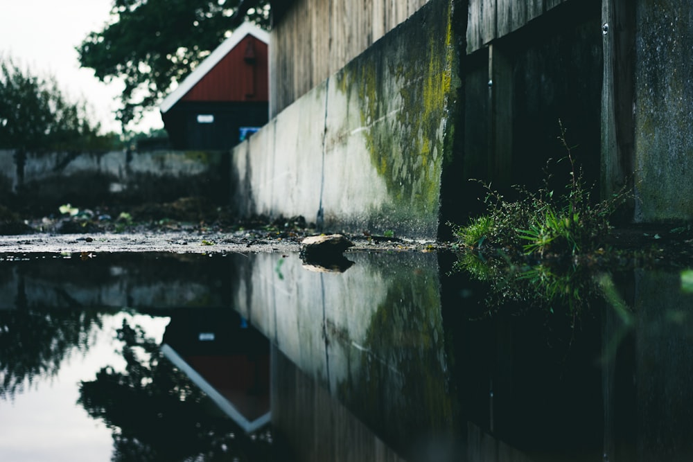 body of water beside buildings