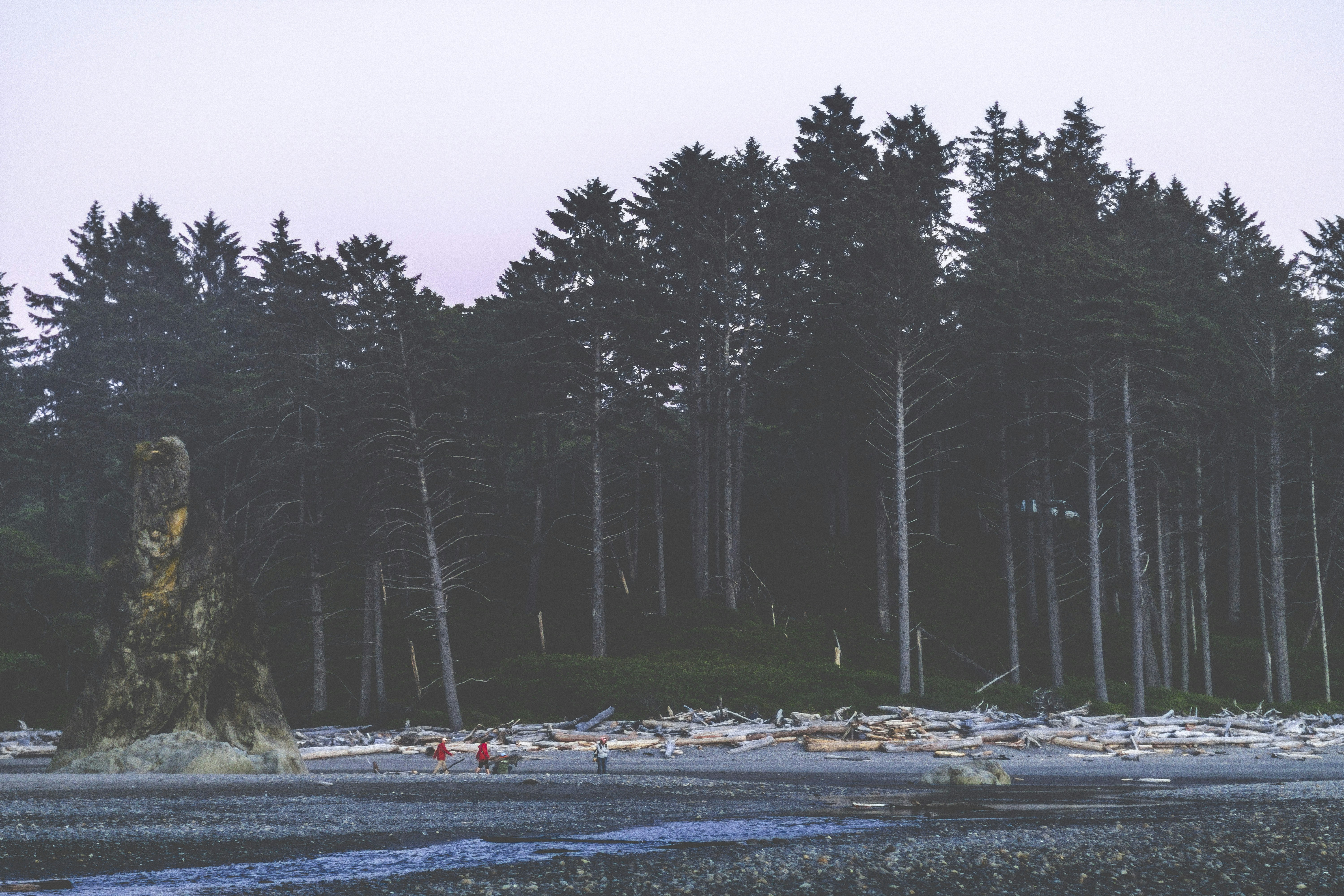 Photo by yannym