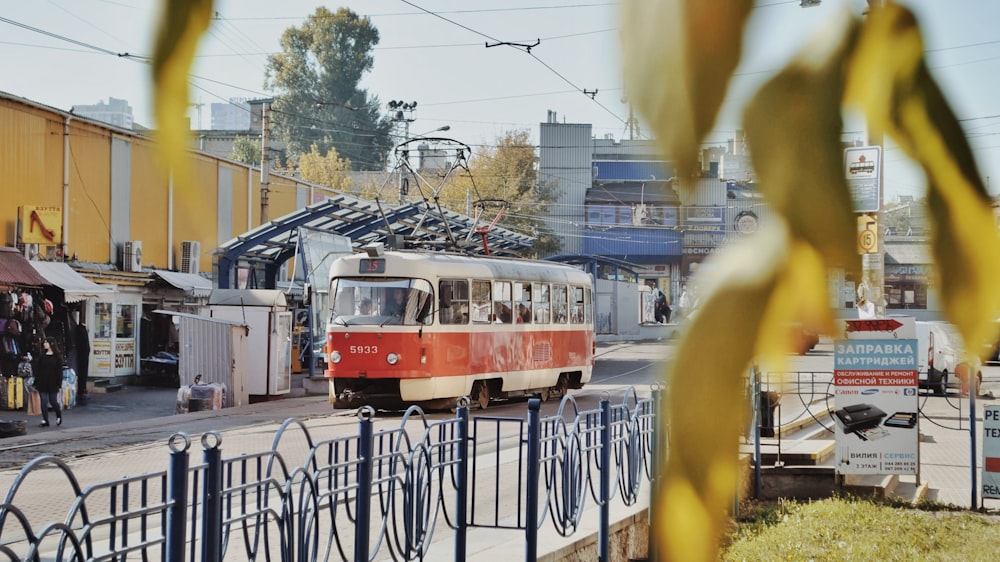 white and red bus on road during daytime