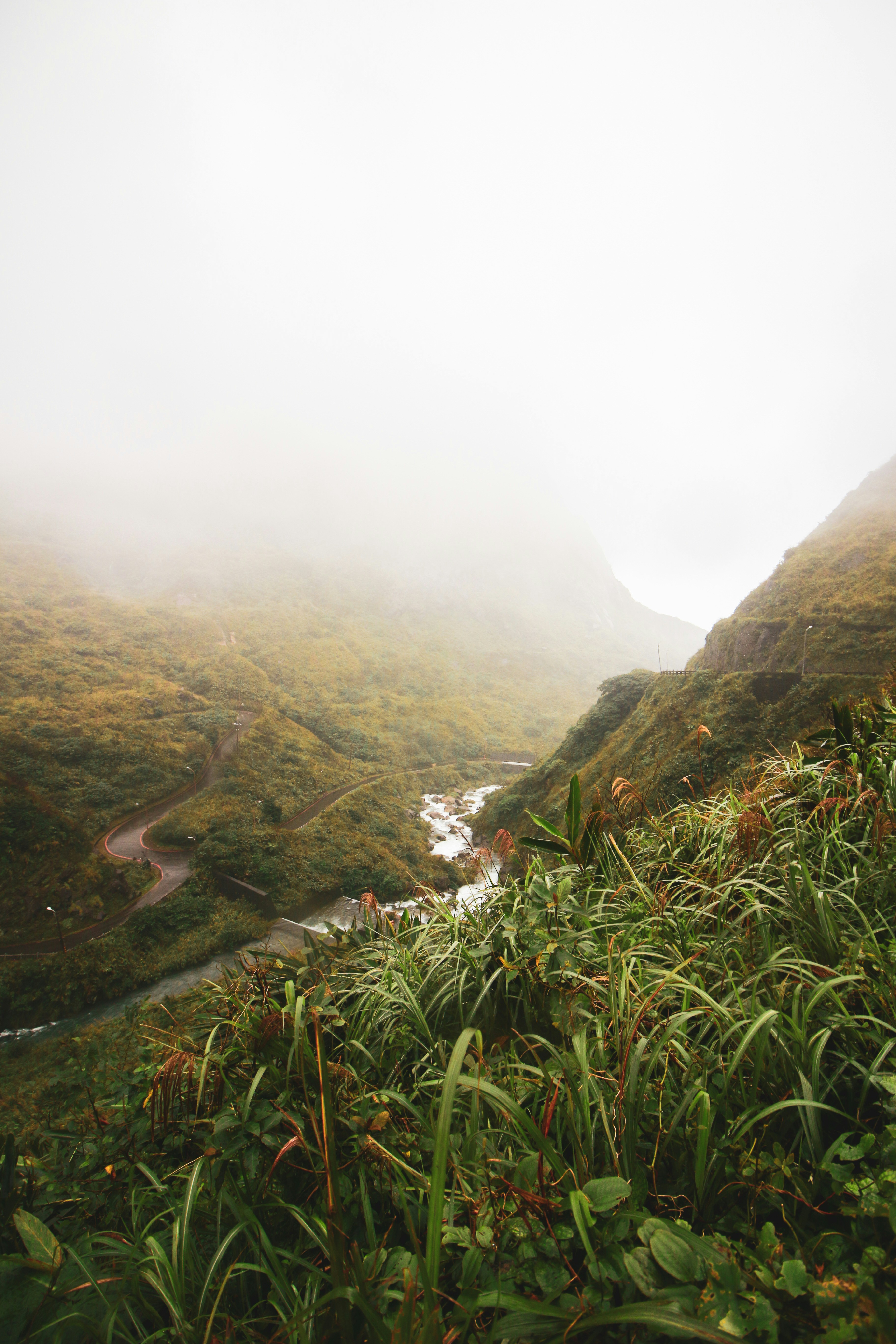 Photo by ammielshoots