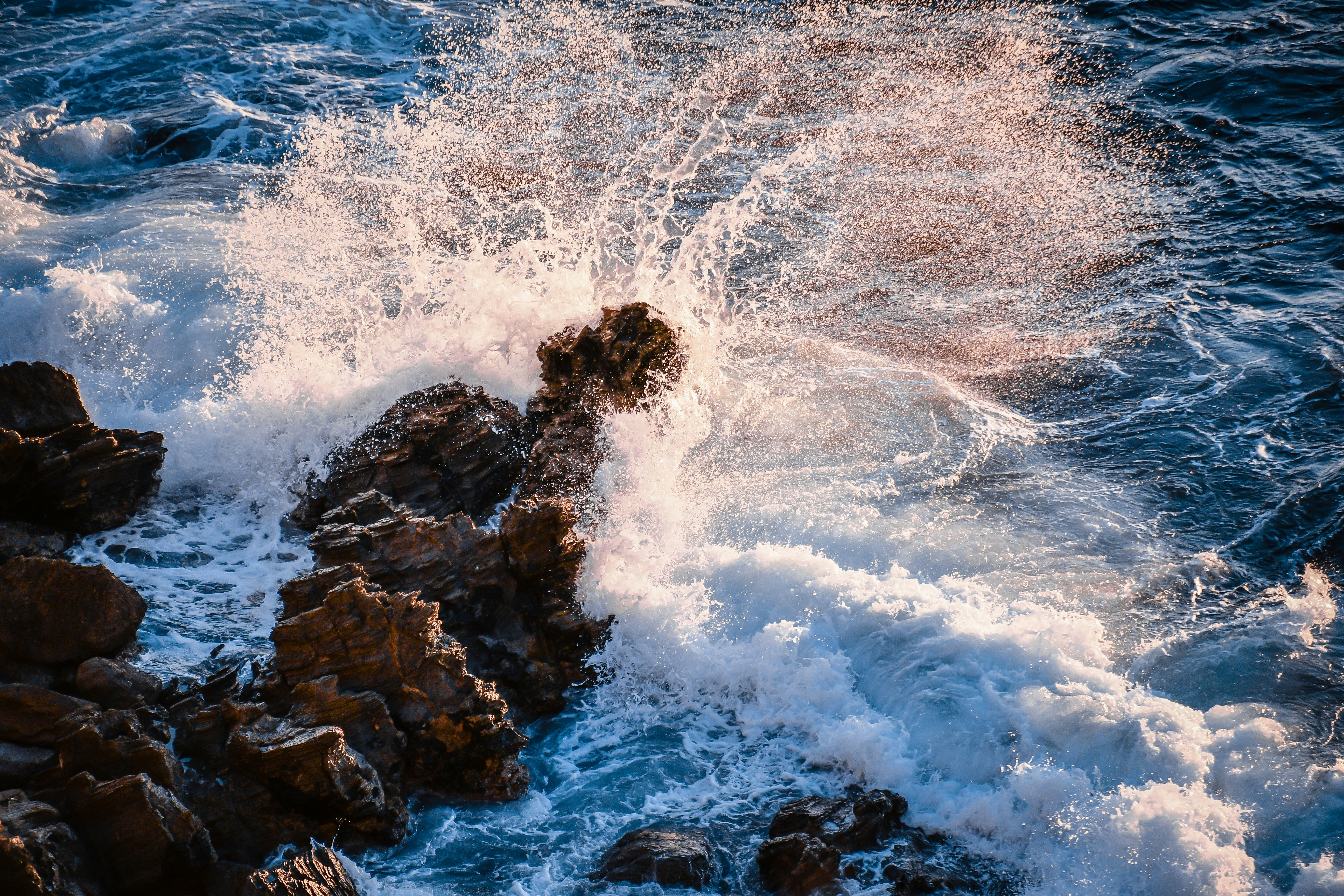 Photo by guss_bedolla