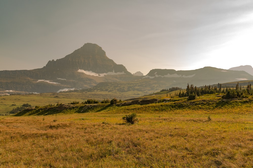 Foto de paisaje de campo de hierba durante el día