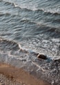 breaking waves on beach