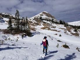 A person wearing a backpack and winter clothing is hiking or trekking through a snowy mountainous landscape. The foreground features a mix of snow-covered ground and scattered rocks, while the background showcases a prominent mountain peak and clusters of evergreen trees. The sky is mostly cloudy, adding depth to the scene.