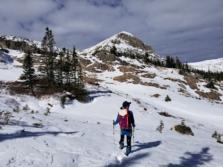 A person wearing a backpack and winter clothing is hiking or trekking through a snowy mountainous landscape. The foreground features a mix of snow-covered ground and scattered rocks, while the background showcases a prominent mountain peak and clusters of evergreen trees. The sky is mostly cloudy, adding depth to the scene.