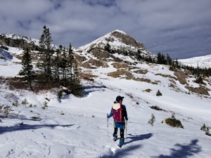 A person wearing a backpack and winter clothing is hiking or trekking through a snowy mountainous landscape. The foreground features a mix of snow-covered ground and scattered rocks, while the background showcases a prominent mountain peak and clusters of evergreen trees. The sky is mostly cloudy, adding depth to the scene.