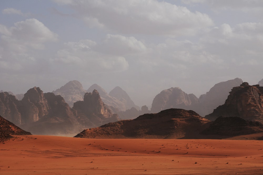 Desert landscape with packed travel bags
