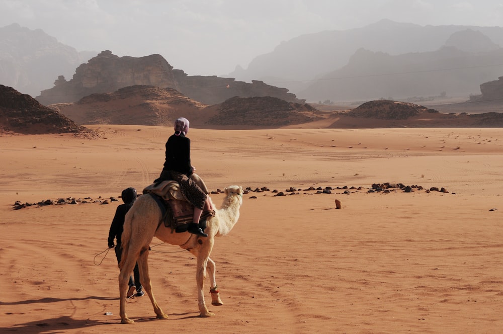 Person, die auf weißem Kamel in der Nähe des Berges reitet