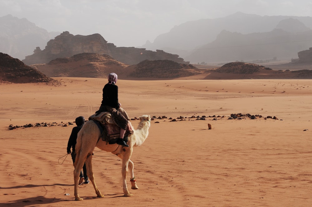 person riding on white camel near mountain