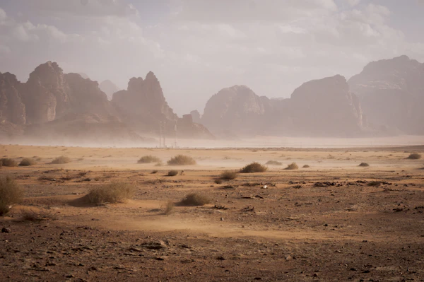 Sand dunes at golden hour