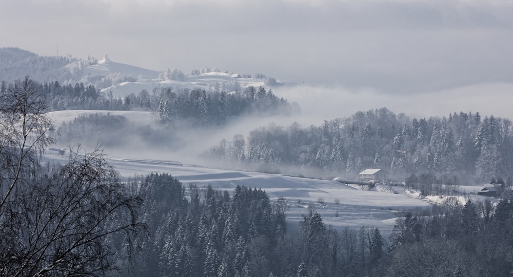 mountain covered with snow view