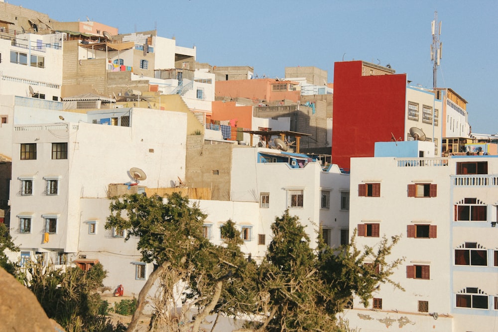 white concrete buildings