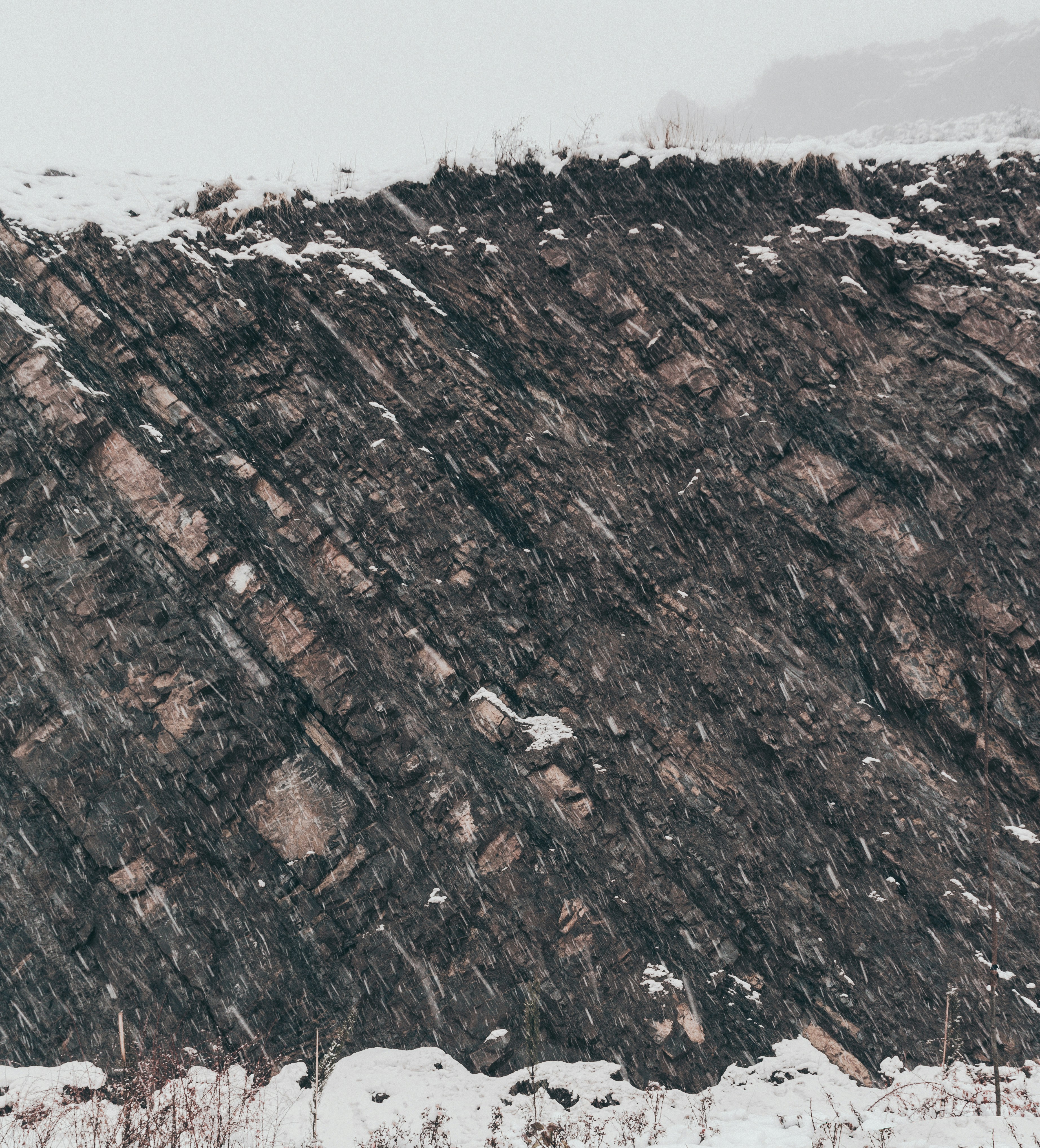 Photo by behy_studio