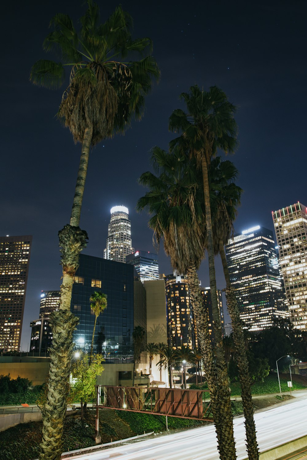 palm trees near city building during nighttime