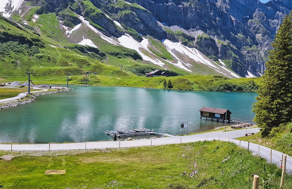 brown shed near body of water